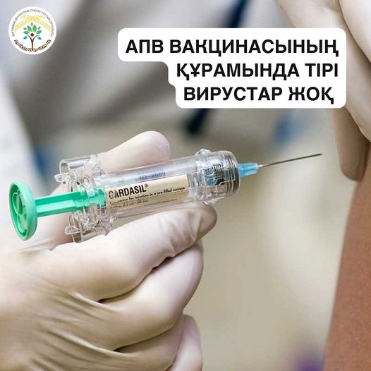 АПВ-ға қарсы вакцинаның құрамында тірі вирустар жоқ, иммунитетті белсендіретін және ешқандай ауру тудырмайтын вирустың жеке ақуыздары қолданылады.