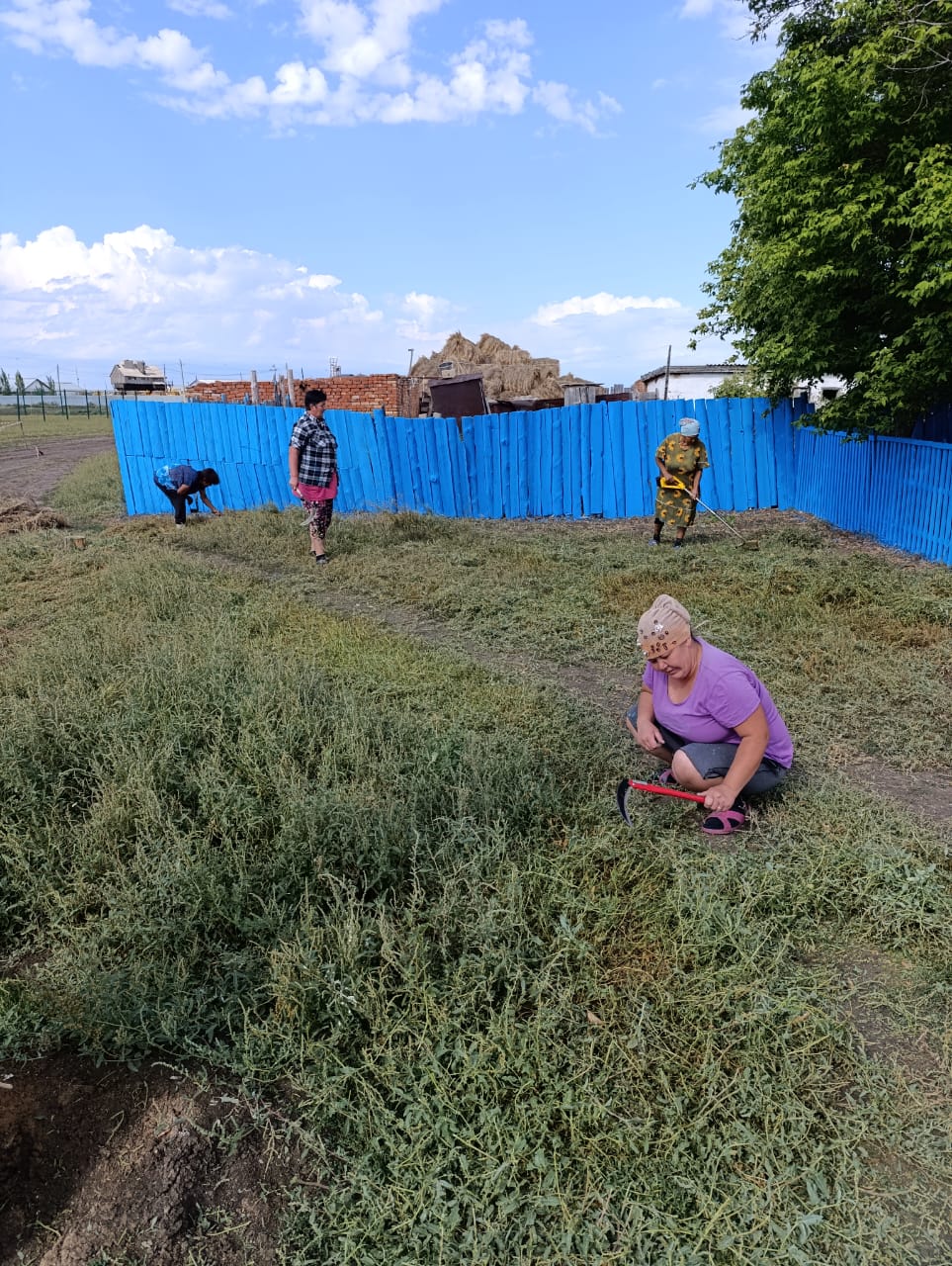 покос травы