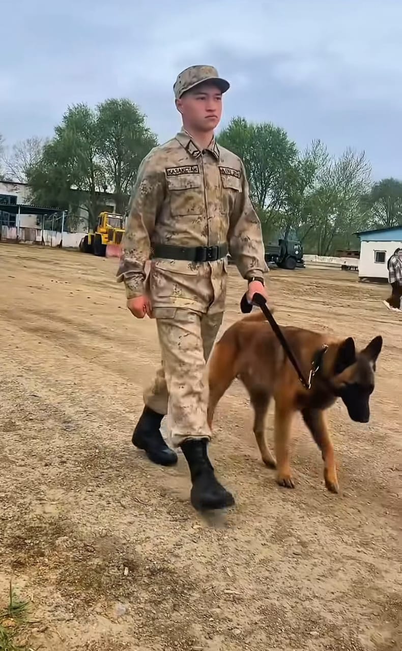 День пограничника