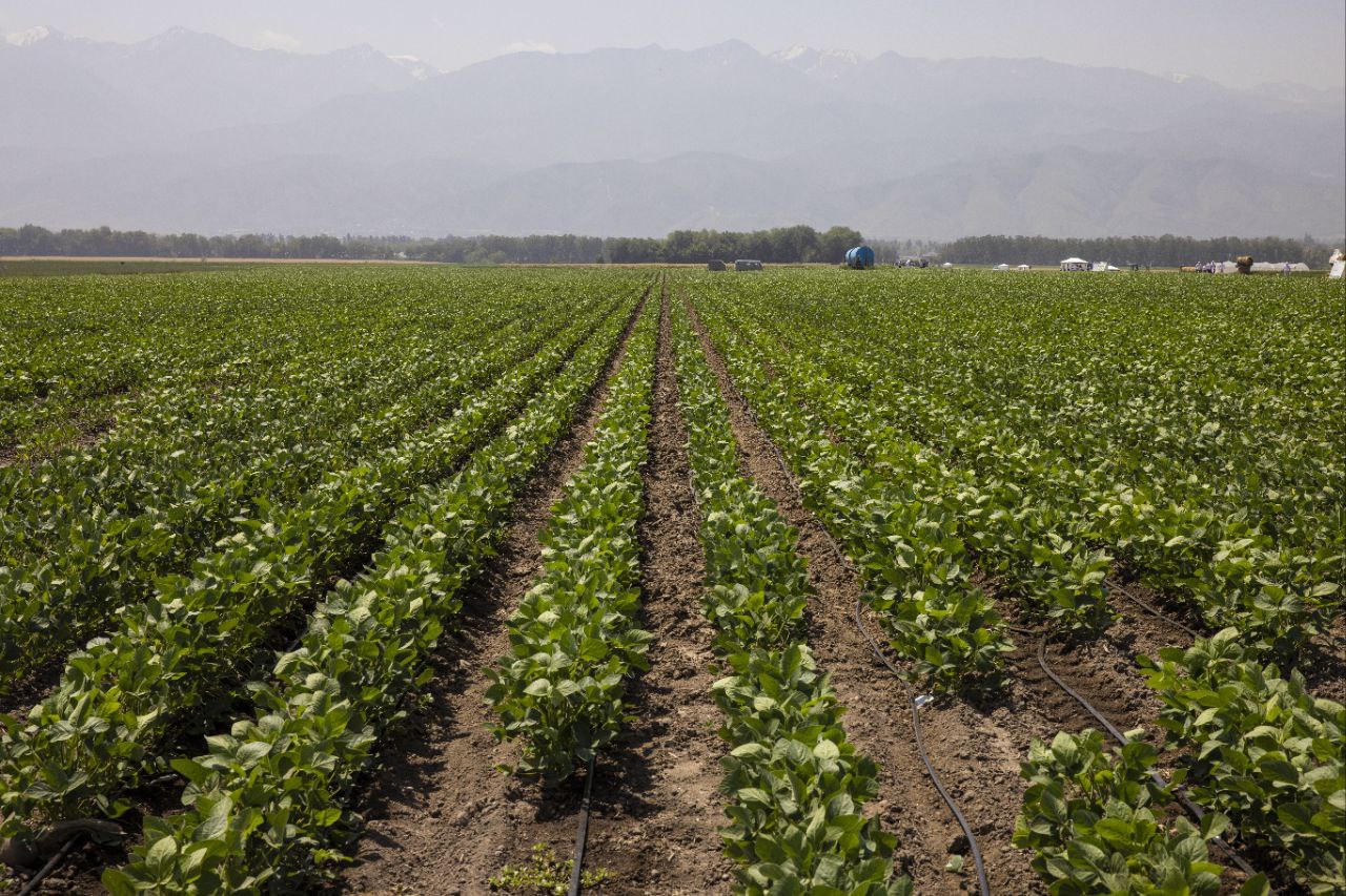 В Алматинской области обсудили вопросы финансирования и субсидирования сельского хозяйства