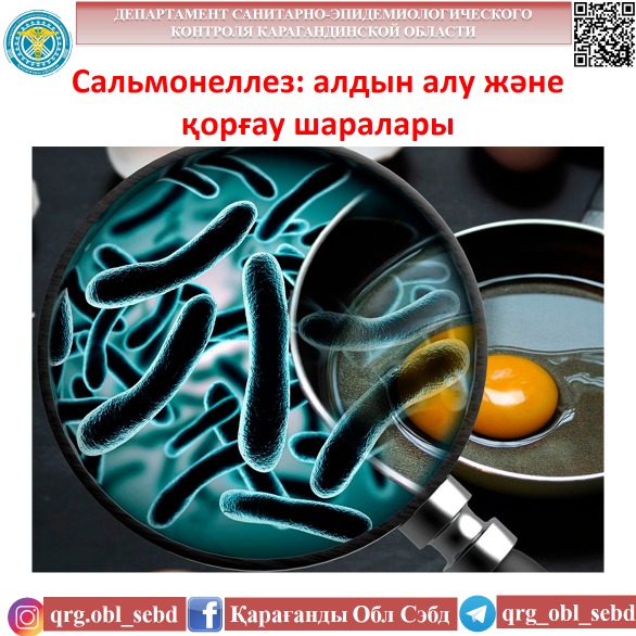 Сальмонеллез: алдын алу және қорғау шаралары