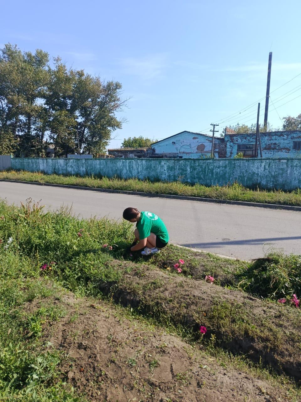 "Жасыл ел" жұмыс барысында