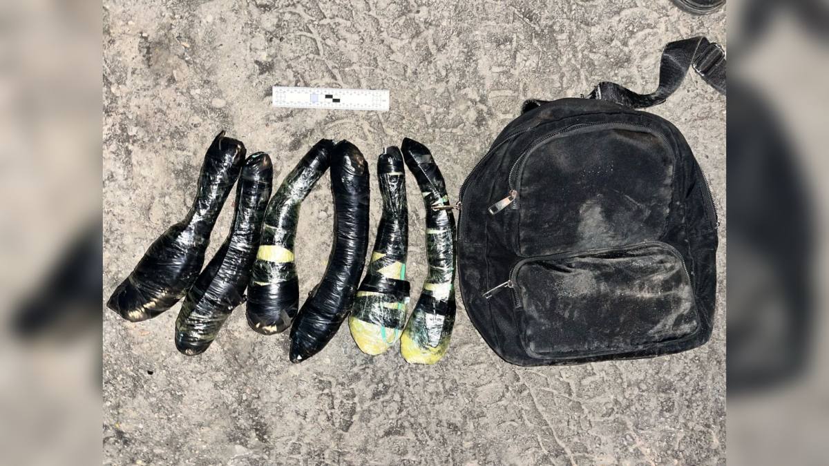 Семейде колонияға екі келі гашиш кіргізбек болған ер адам ұсталды.