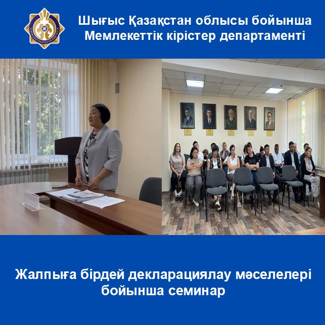 Жалпыға бірдей декларациялау мәселелері бойынша семинар