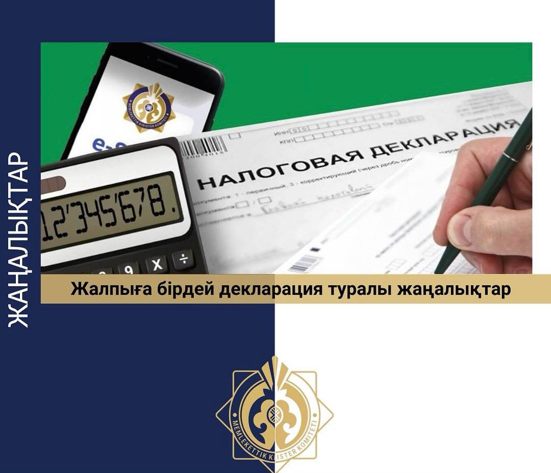 Кірістер мен мүлік туралы Декларация (270.00)