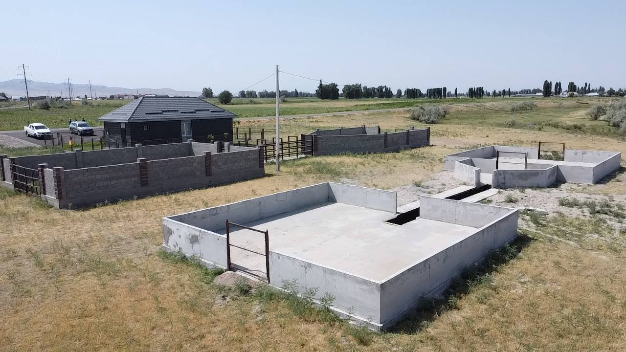 Мал тоғыту туралы не білесіз?