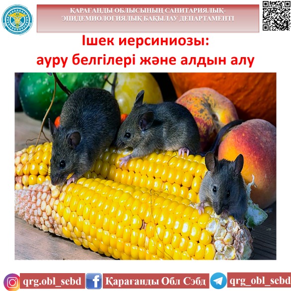 Ішек иерсиниозы: ауру белгілері және алдын алу