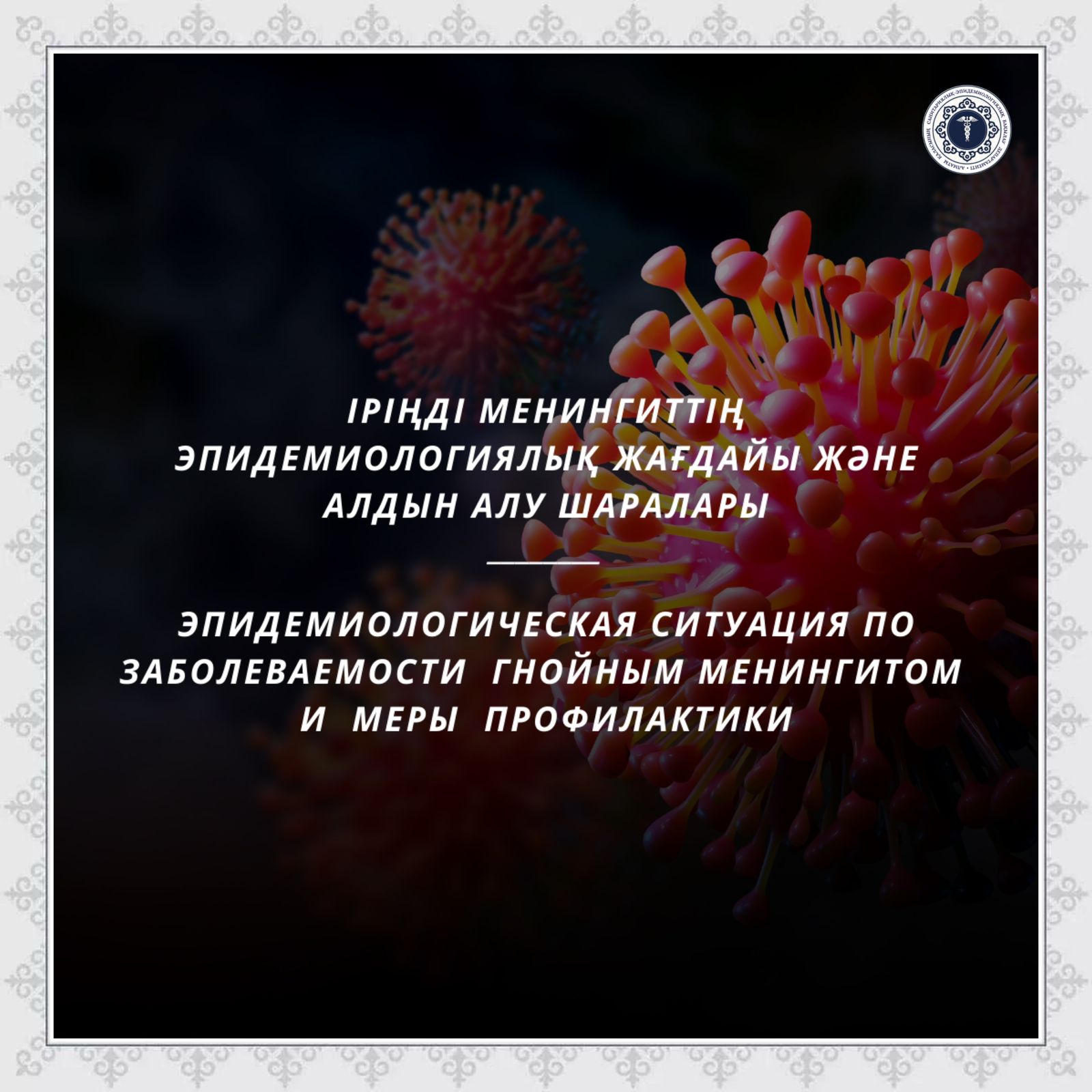 Іріңді менингиттің эпидемиологиялық жағдайы және алдын алу шаралары
