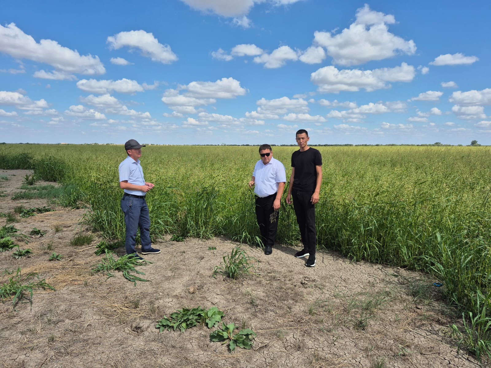 АУДАНДА ЕКПЕЛІ ШӨП ЕГУ ІСІ ҚАРҚЫН АЛУДА