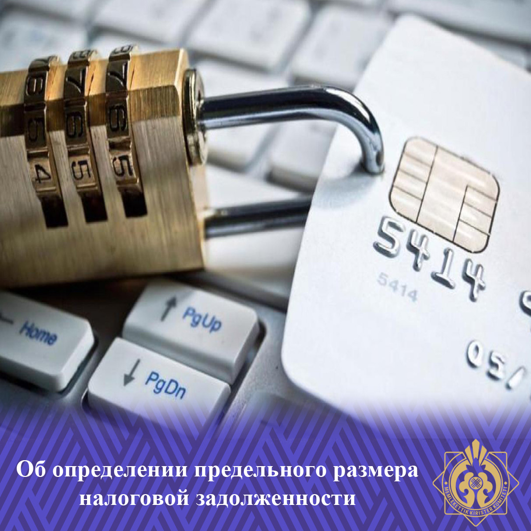 Салықтық берешегінің шекті мөлшерін айқындау туралы