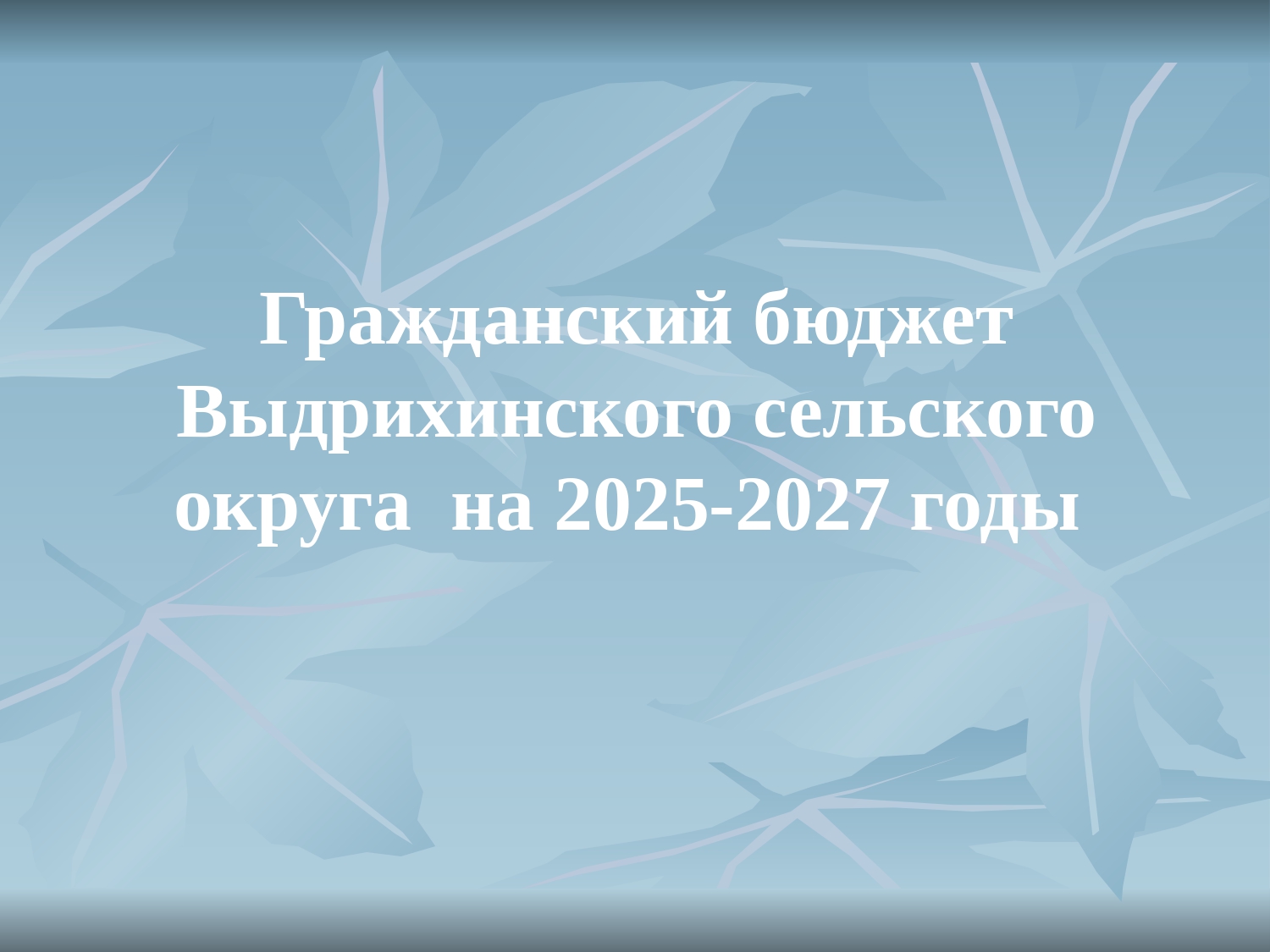 ГРАЖДАНСКИЙ БЮДЖЕТ 2025-2027г.г.