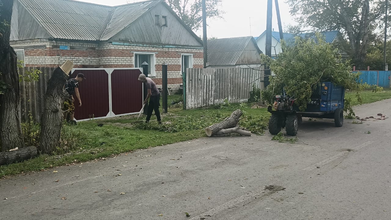 🌿🚮 В рамках акции «Таза Қазақстан» жители нашего села активно наводят порядок возле своих домов и территорий. Чистота начинается с каждого из нас! 💚