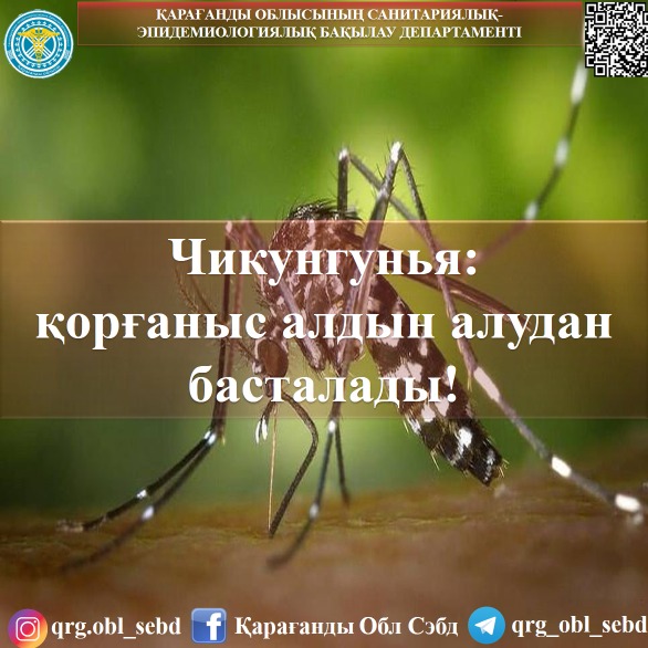 Чикунгунья: қорғаныс алдын алудан басталады!