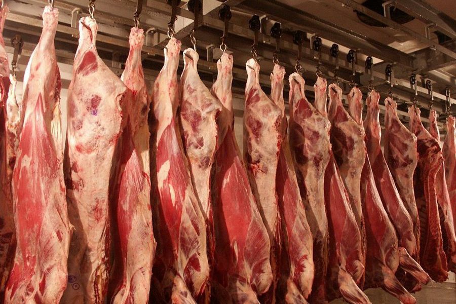 608,8 тыс. тонн мяса произведено в Казахстане за 7 месяцев 2025 года