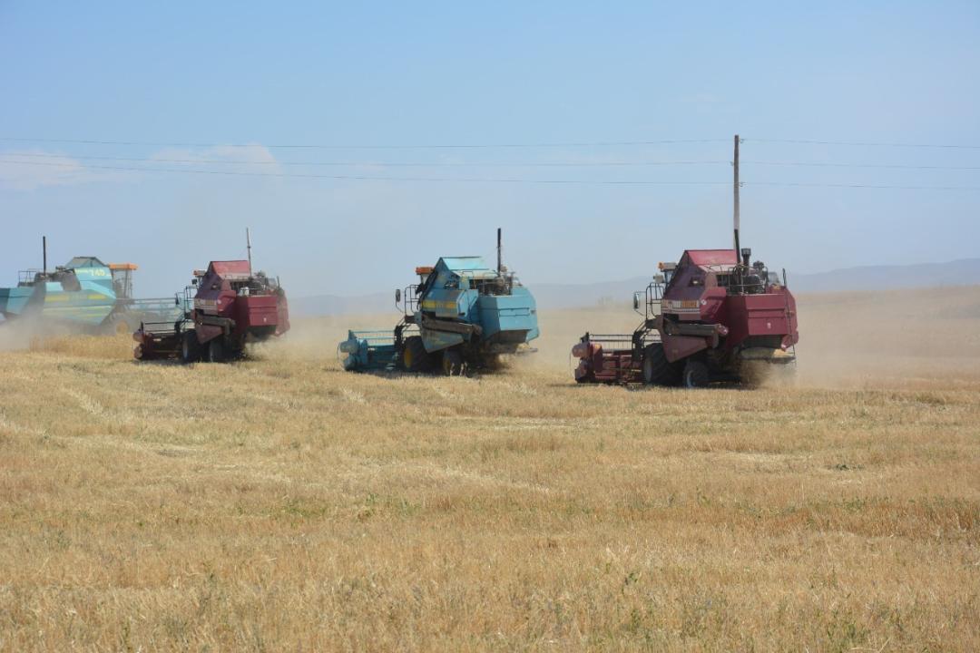 В Жамбылской области планируется собрать 3,8 миллиона тонн сельскохозяйственной продукции