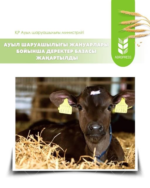 Ауыл шаруашылығы жануарлары бойынша деректер базасы жаңартылды