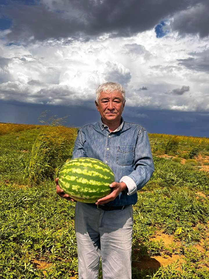 БАҒЛАНДАЙ ҚАРБЫЗДАРЫ - АЙ ЖЕТІКӨЛДІҢ!