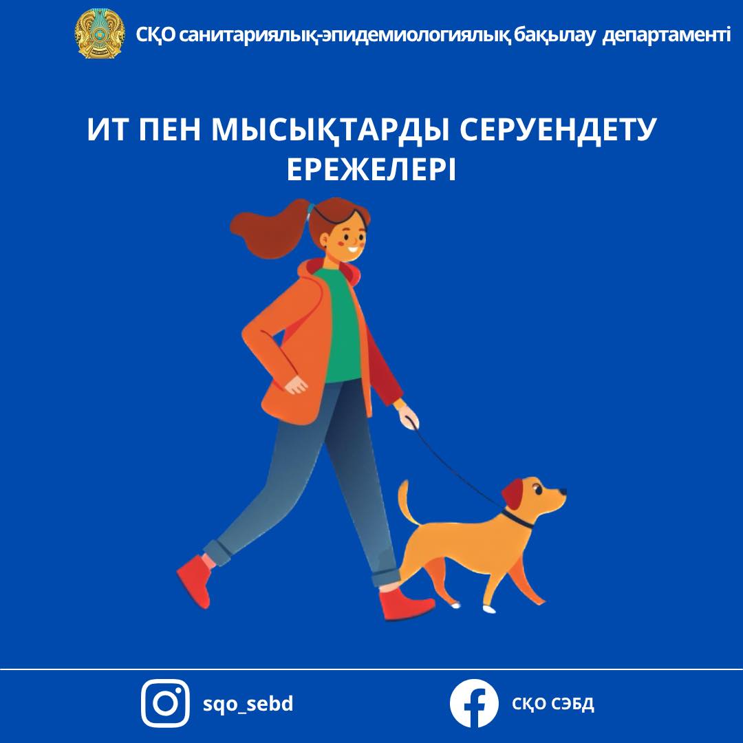 📌«Ит пен мысықтарды серуендету ережелері»