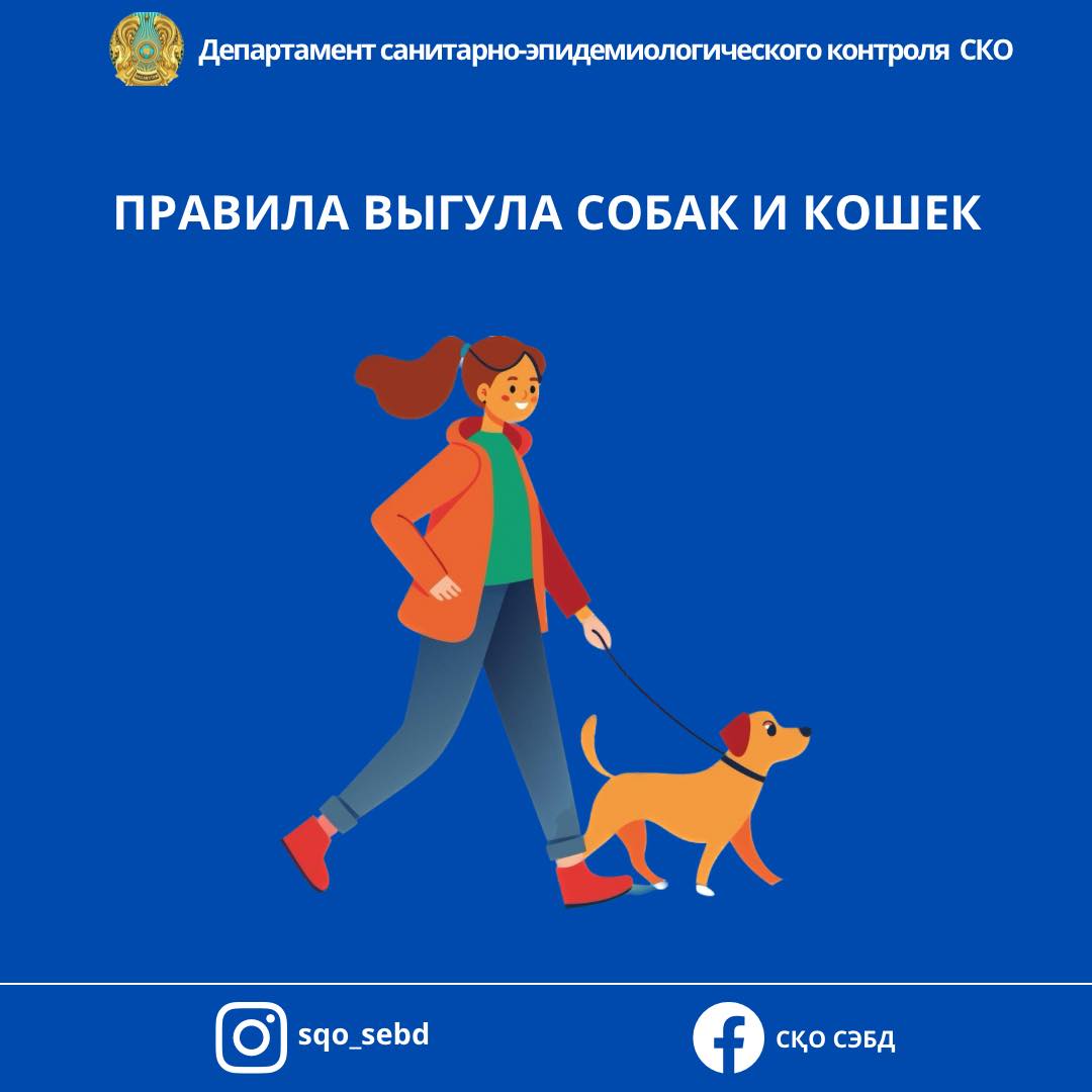 📌«Правила выгула собак и кошек»