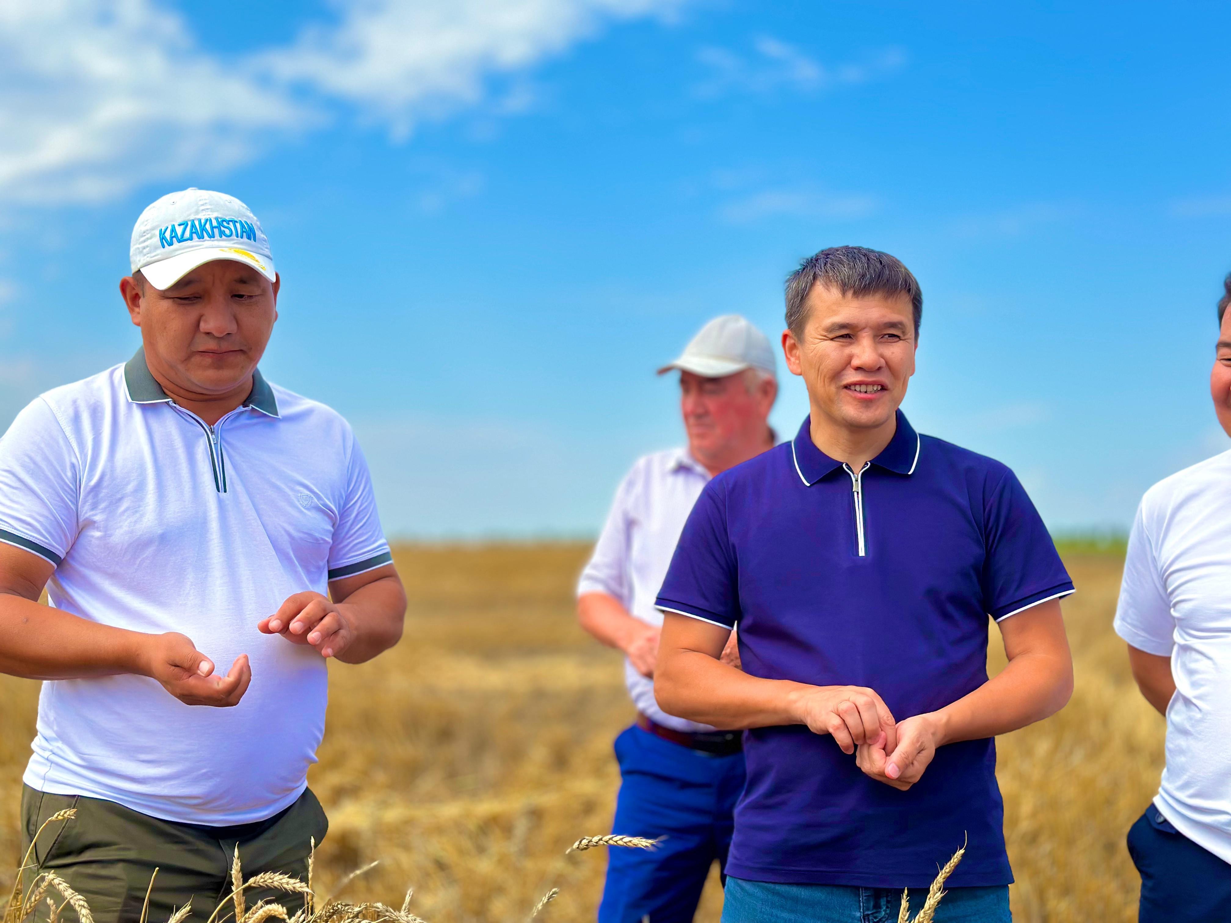 Аудан әкімі Нұрлыбек Унербаев жұмыс сапарымен егіс учаскелеріне барды