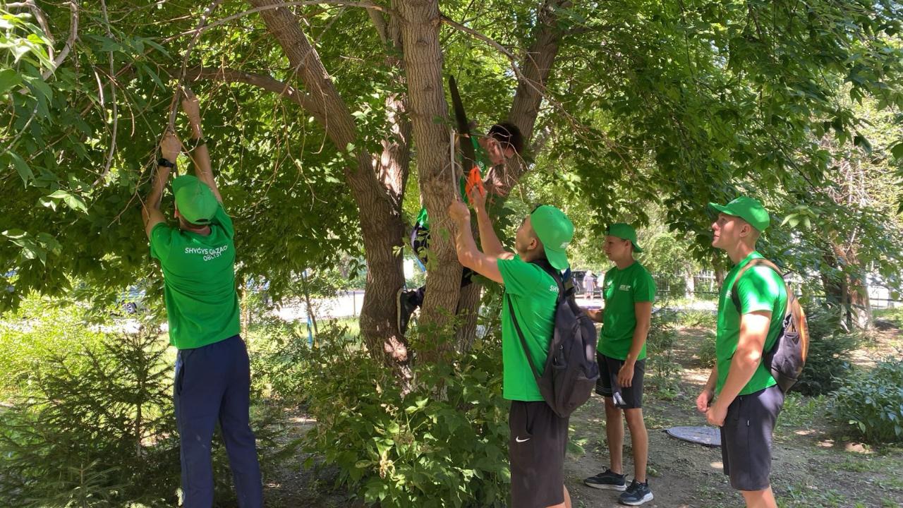 Шемонаиха жастары "Жасыл Ел" жобасы аясында"Таза Қазақстан" акциясына үлес қосуда
