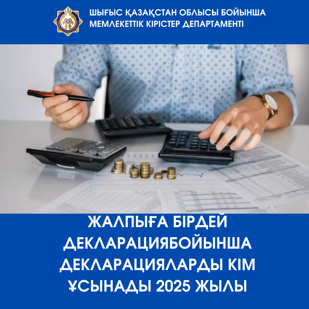 Жалпыға бірдей декларация бойынша декларацияларды кім ұсынады 2025 жылы