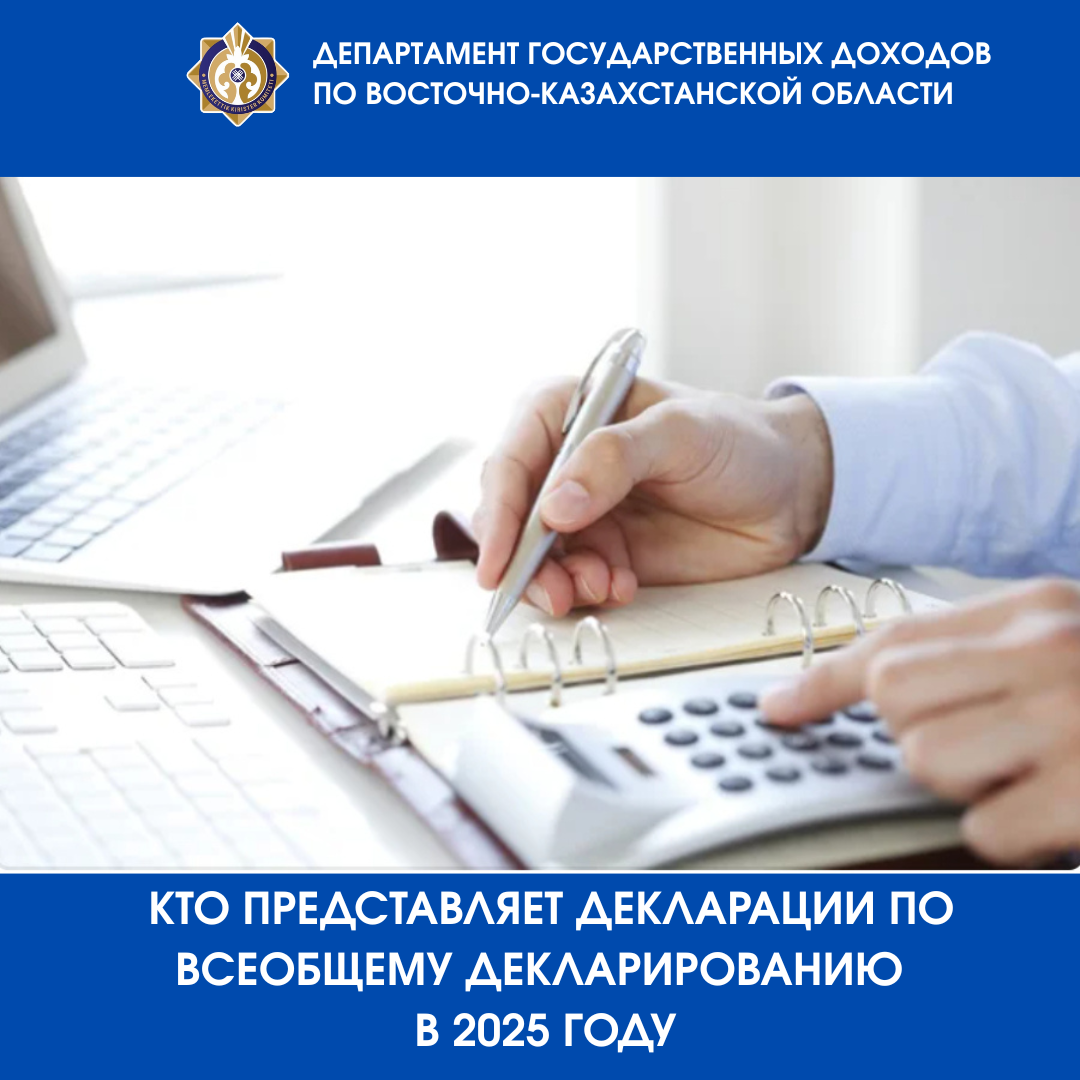 Кто представляет декларации по всеобщему декларированию  в 2025 году