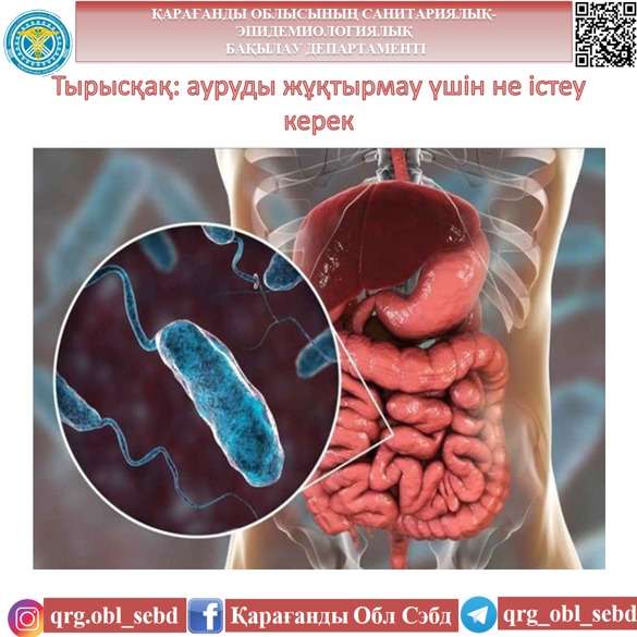 Тырысқақ: ауруды жұқтырмау үшін не істеу керек
