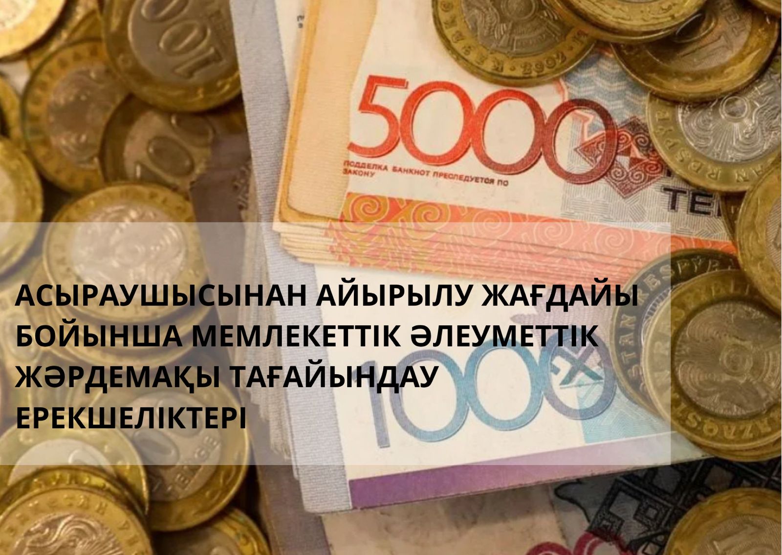Асыраушысынан айырылу жағдайы бойынша мемлекеттік әлеуметтік жәрдемақы тағайындау ерекшеліктері