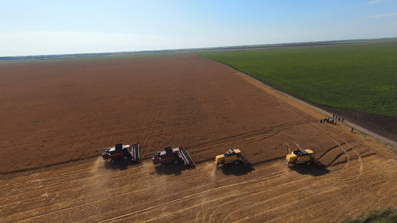 Үздіктер үштігінде: Ақмола облысы аграрлық жетекшілік орнын қалай сақтап келеді