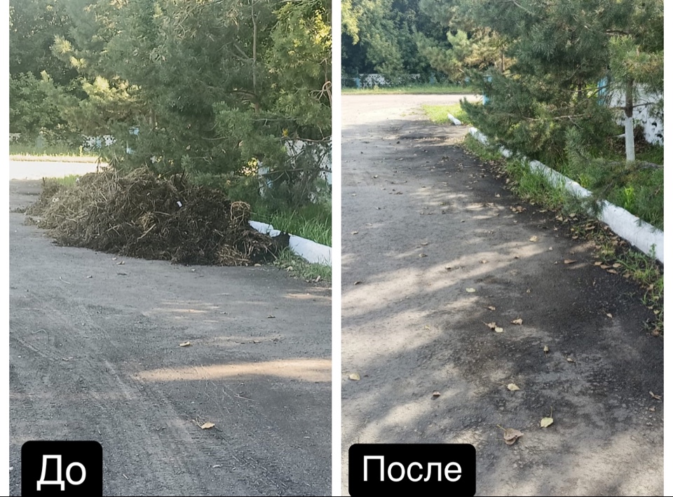 🌿 В нашем селе работа в рамках программы «Таза Қазақстан» продолжается!