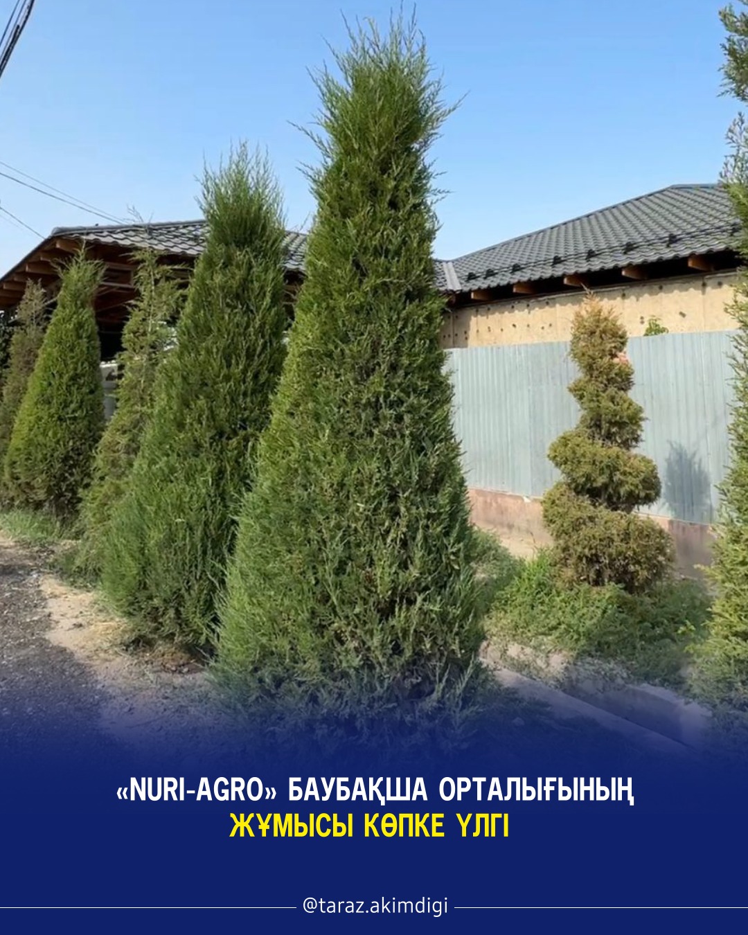 Работа садового центра «Nuri-Agro» служит примером для многих