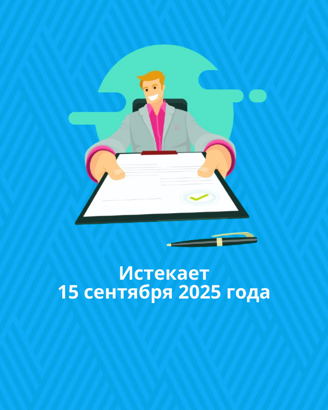 Срок представления деклараций 250.00 и 270.00 за 2024 год истекает 15 сентября 2025 года