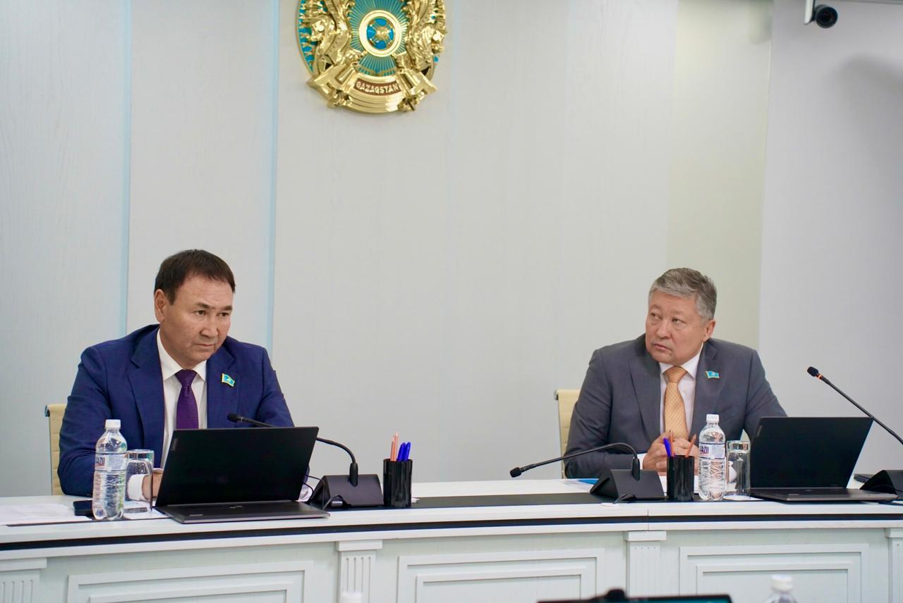 Депутат күні: елорда халқына жедел медициналық жәрдем берудің проблемалық мәселелері  (11.09.2025)