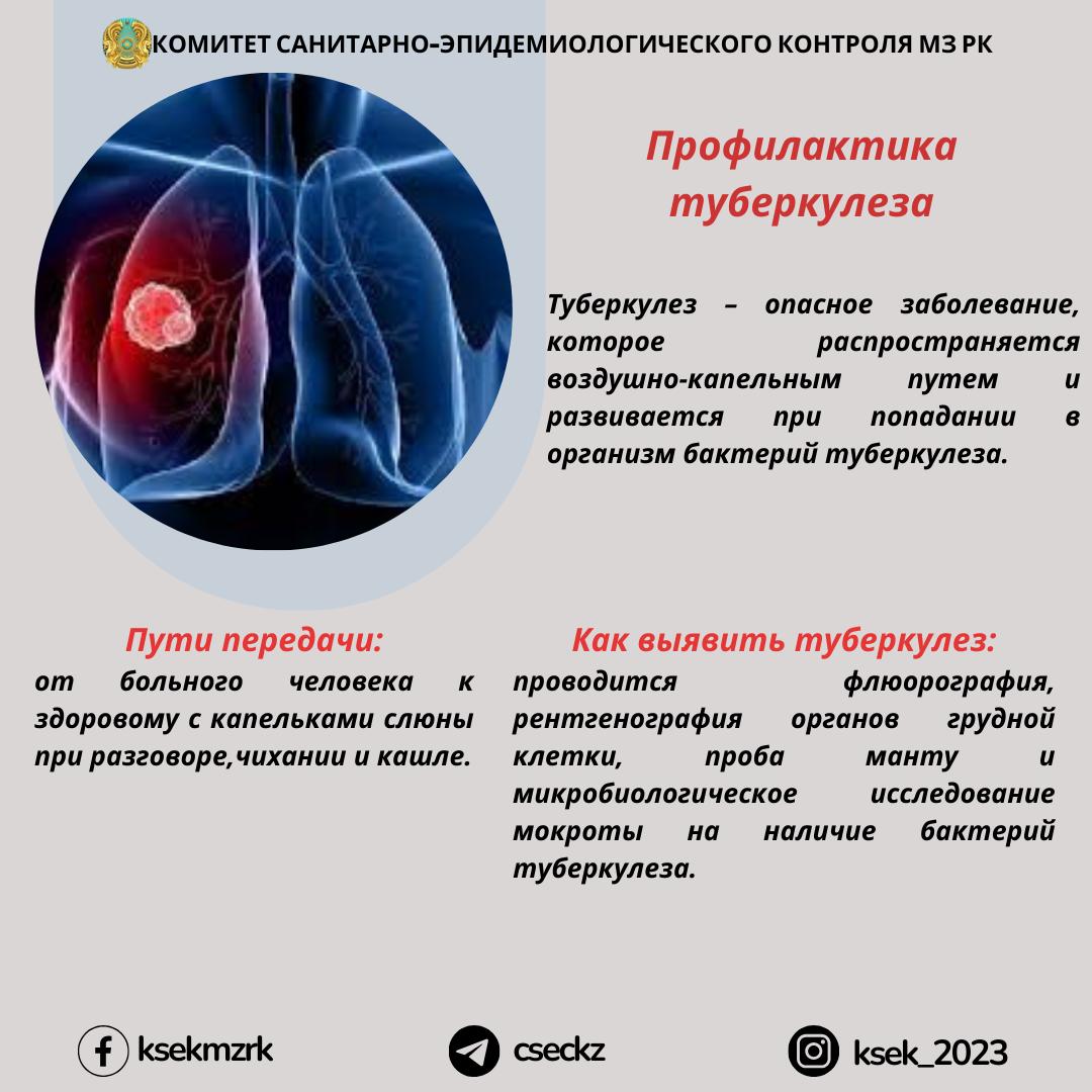 Профилактика туберкулеза