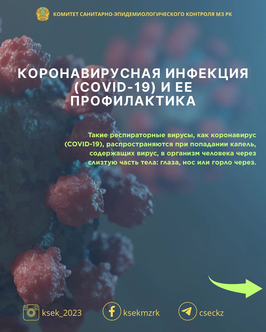 Профилактика коноравирусной инфекции