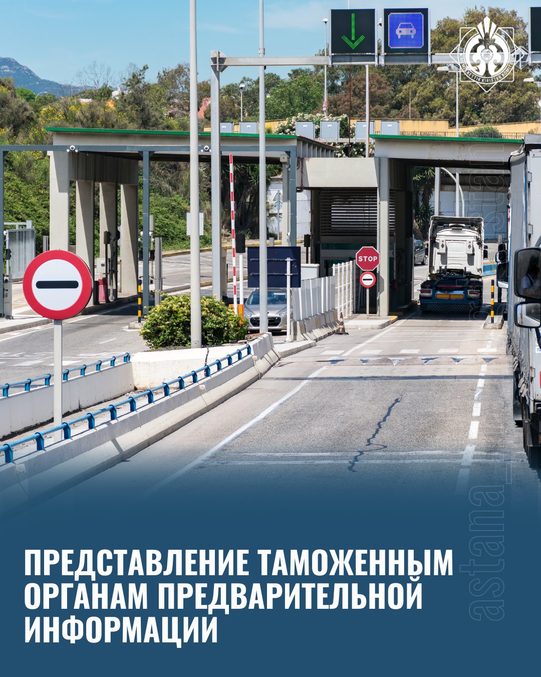 Представление таможенным органам предварительной информации