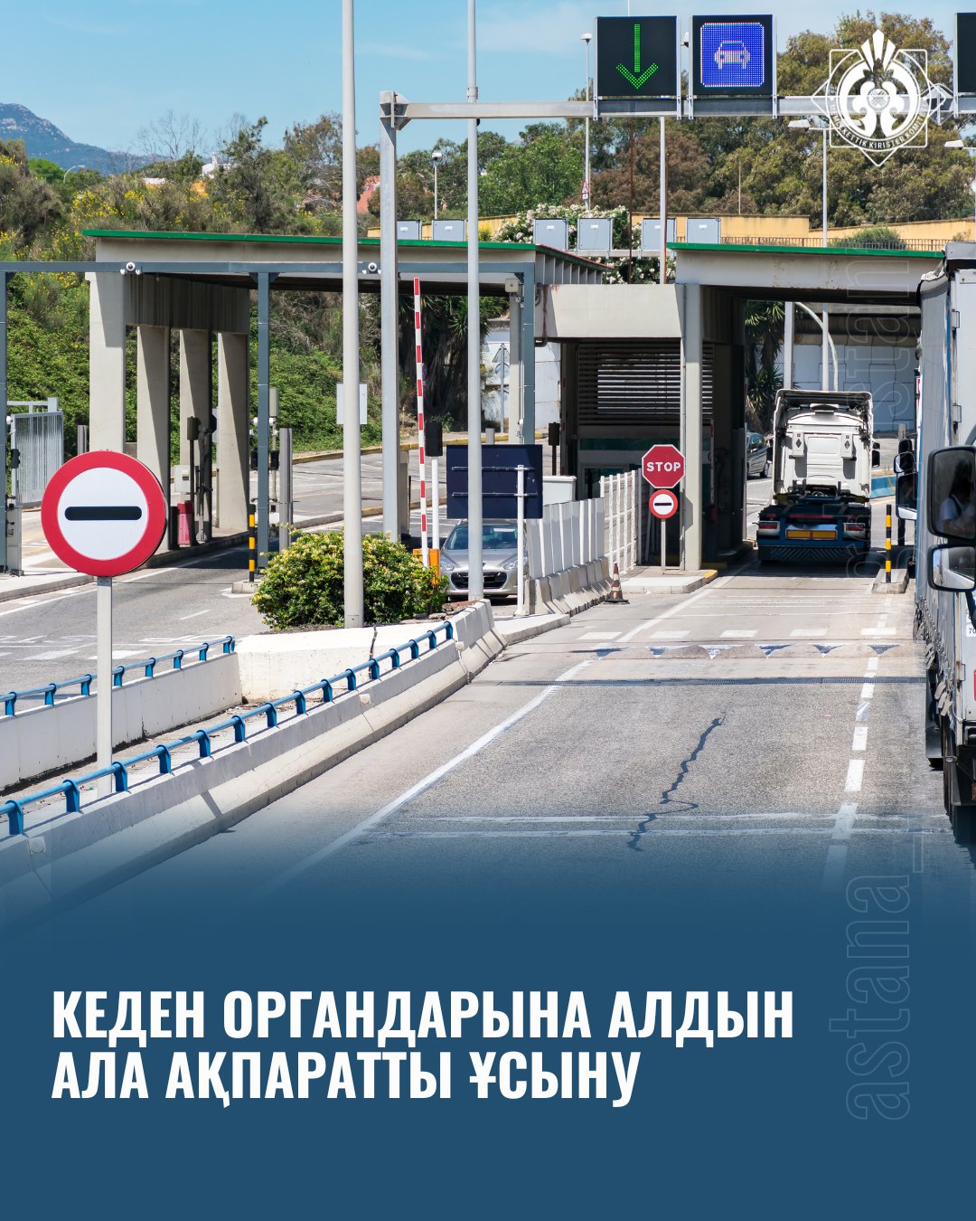 Кеден органдарына алдын ала ақпаратты ұсыну