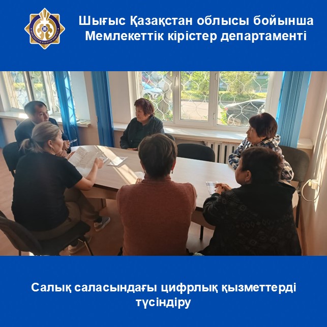 Салық саласындағы цифрлық қызметтерді түсіндіру