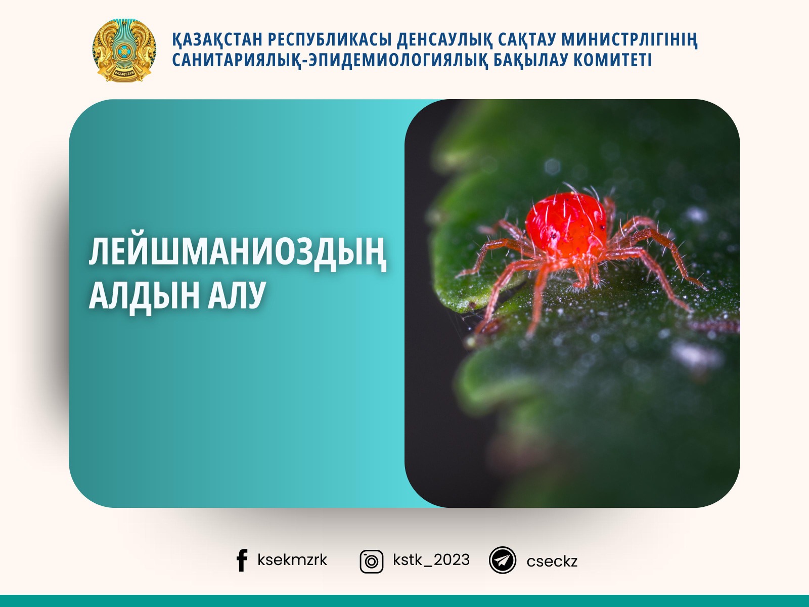 Лейшманиоздың алдын алу