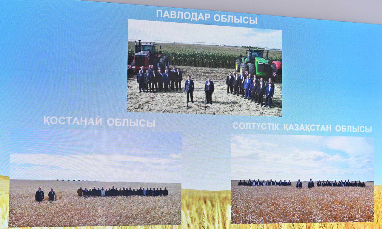 Президент: «Егістікті әртараптандыруды жалғастыру керек»