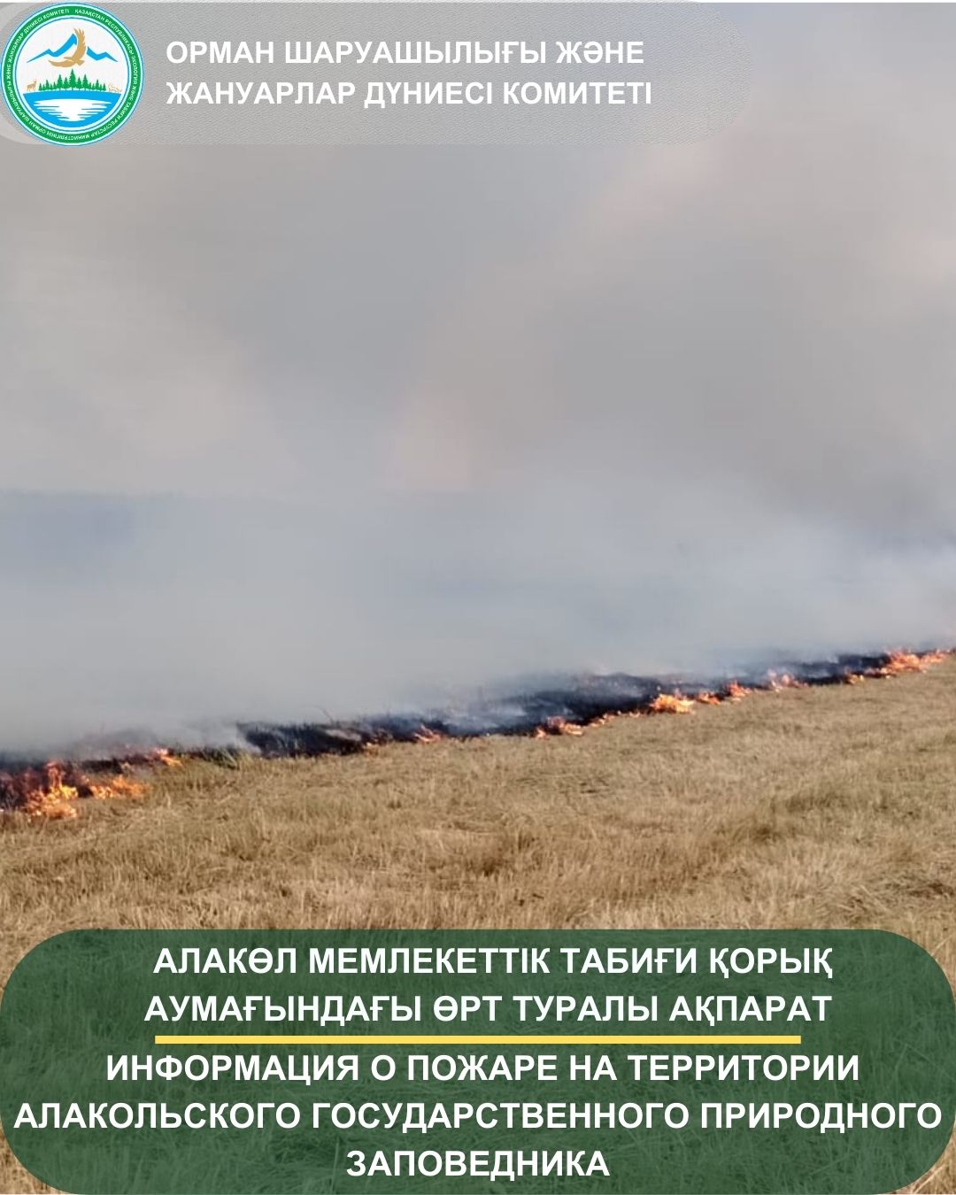 Алакөл мемлекеттік табиғи қорық аумағындағы өрт туралы ақпрат