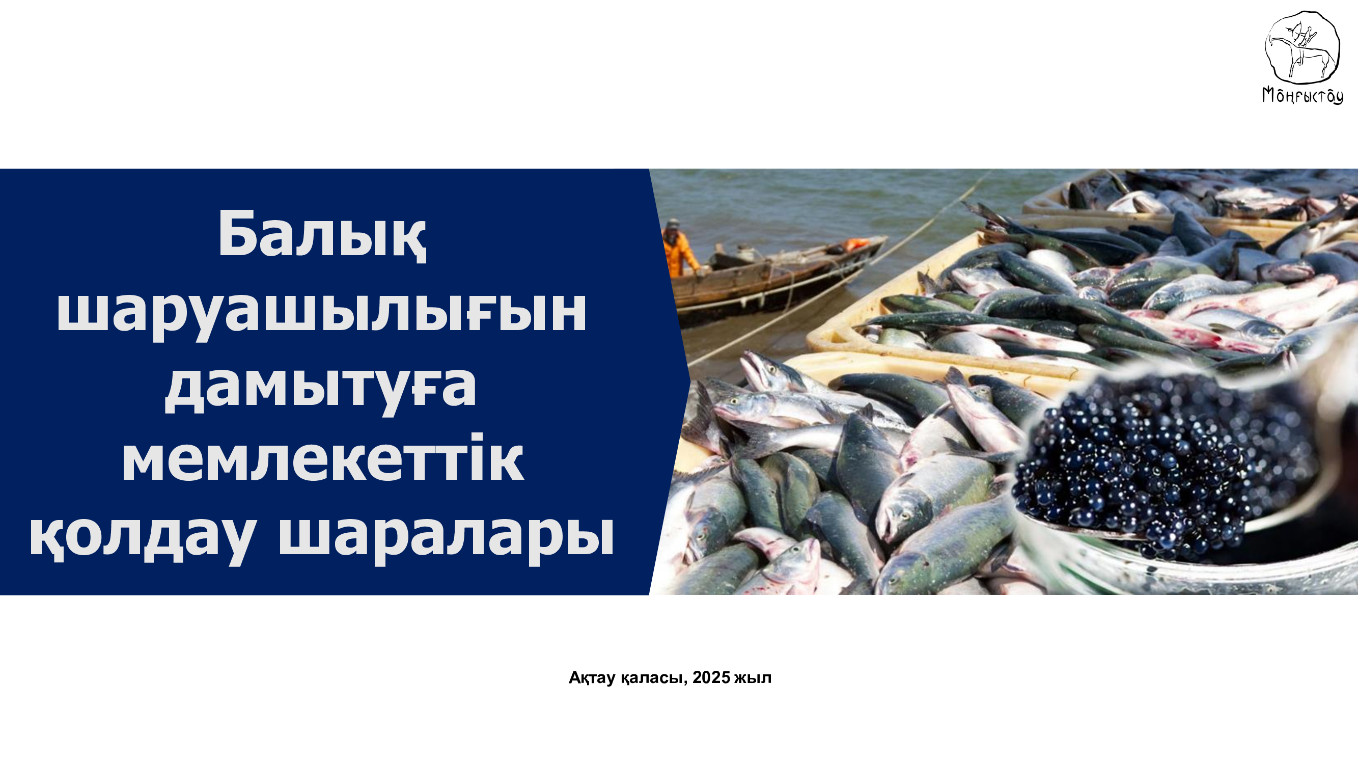 Балық шаруашылығын дамытуға мемлекеттік  қолдау шаралары