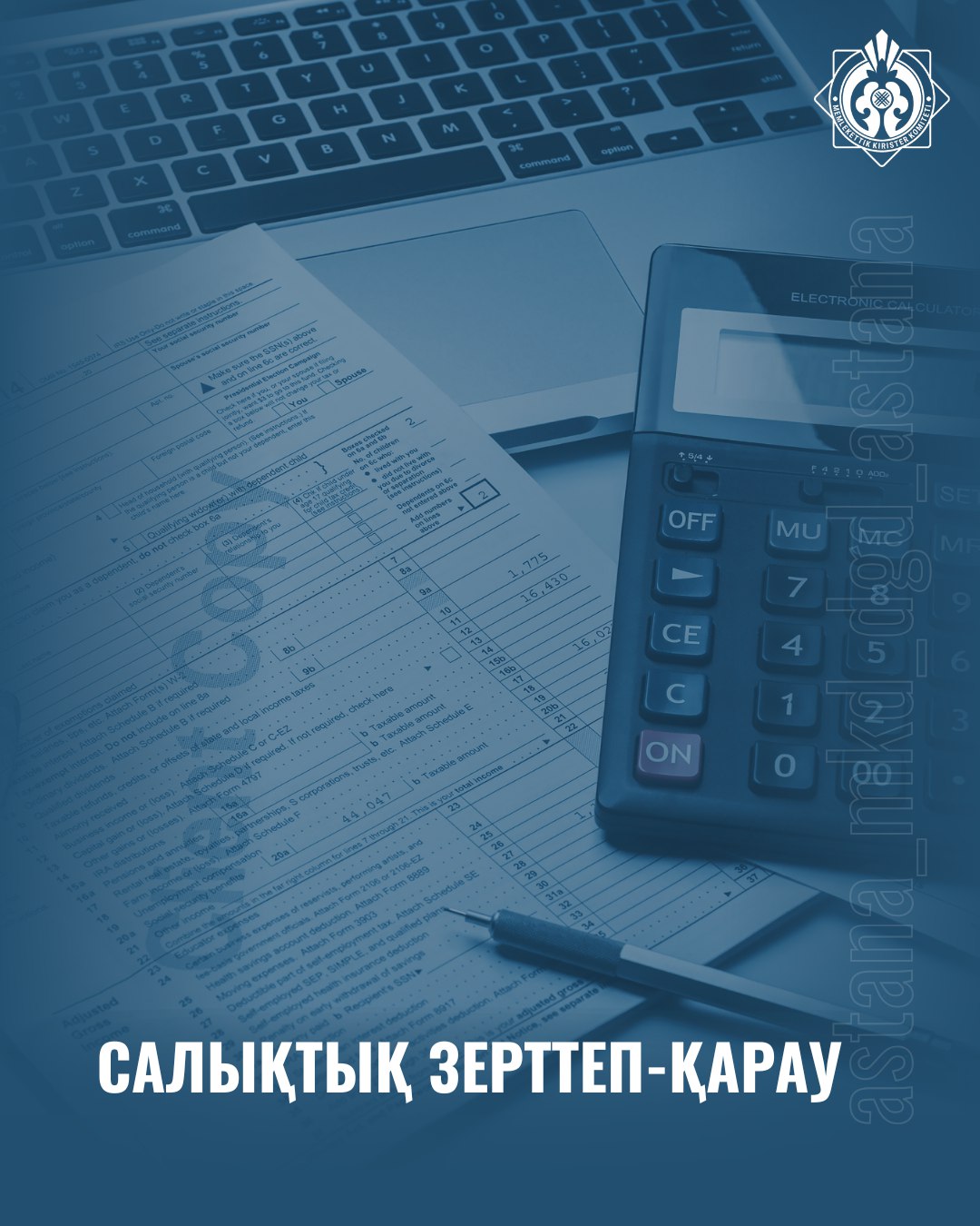 Салықтық зерттеп-қарау