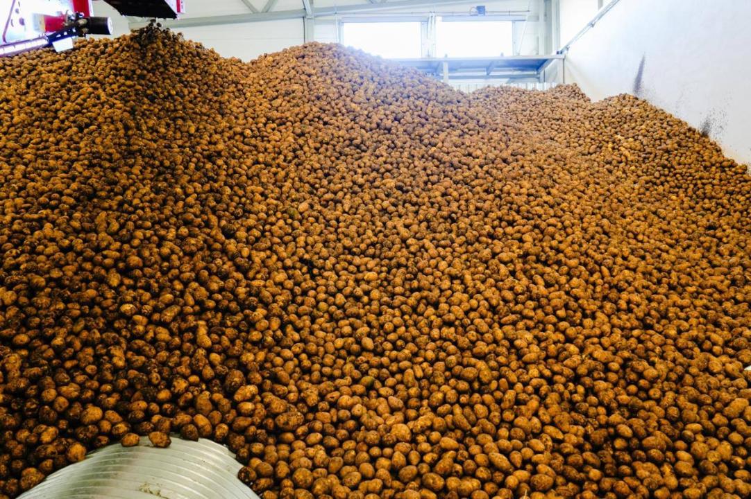 Астанада азық-түлік бағасын тұрақтандыру жұмысы қалай жүріп жатыр