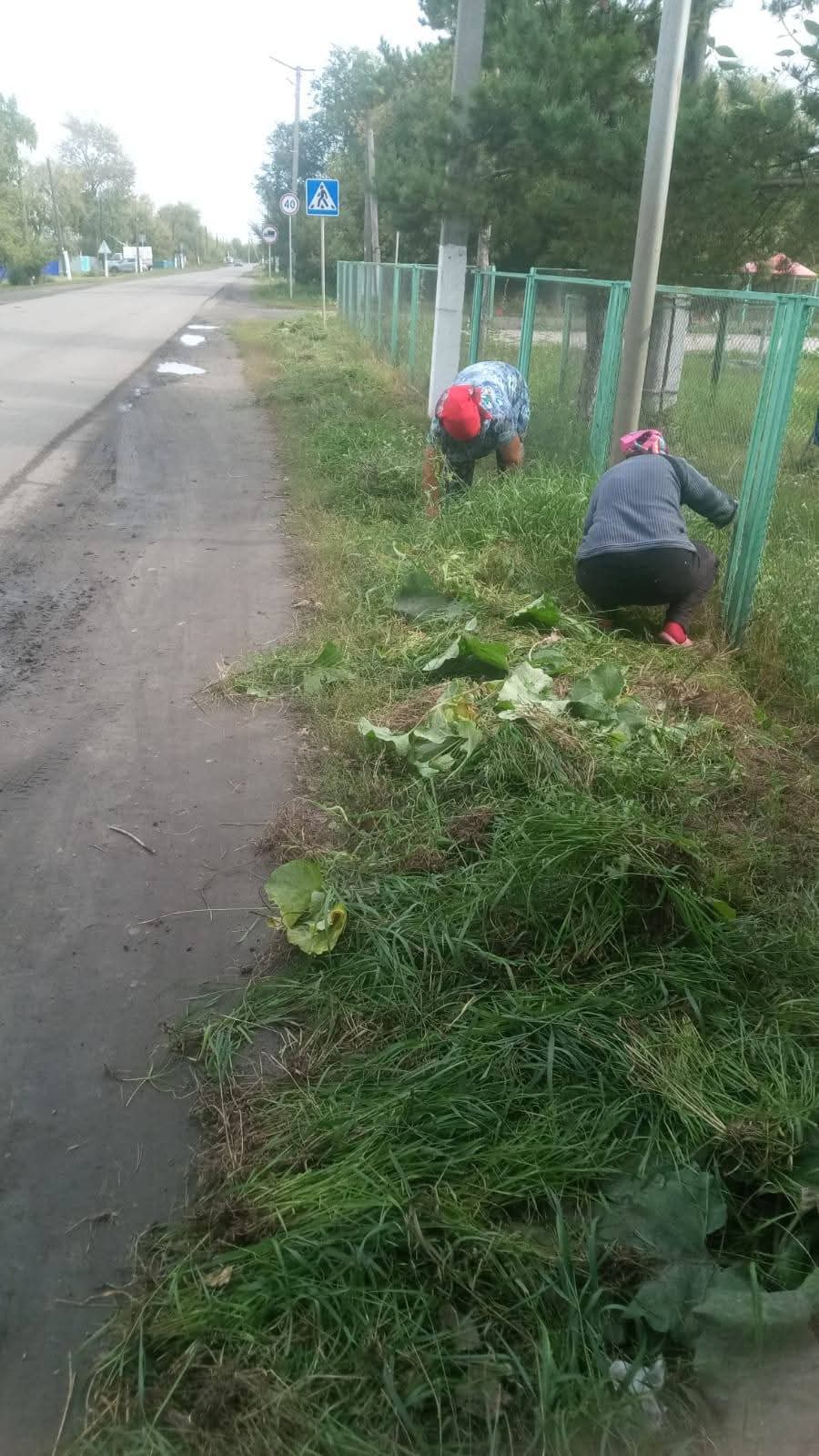 Благовещенка ауылында қоғамдық жұмыстармен айналысатын қоғамдық қызметкерлер  абаттандыру жұмыстарын жалғастыруда