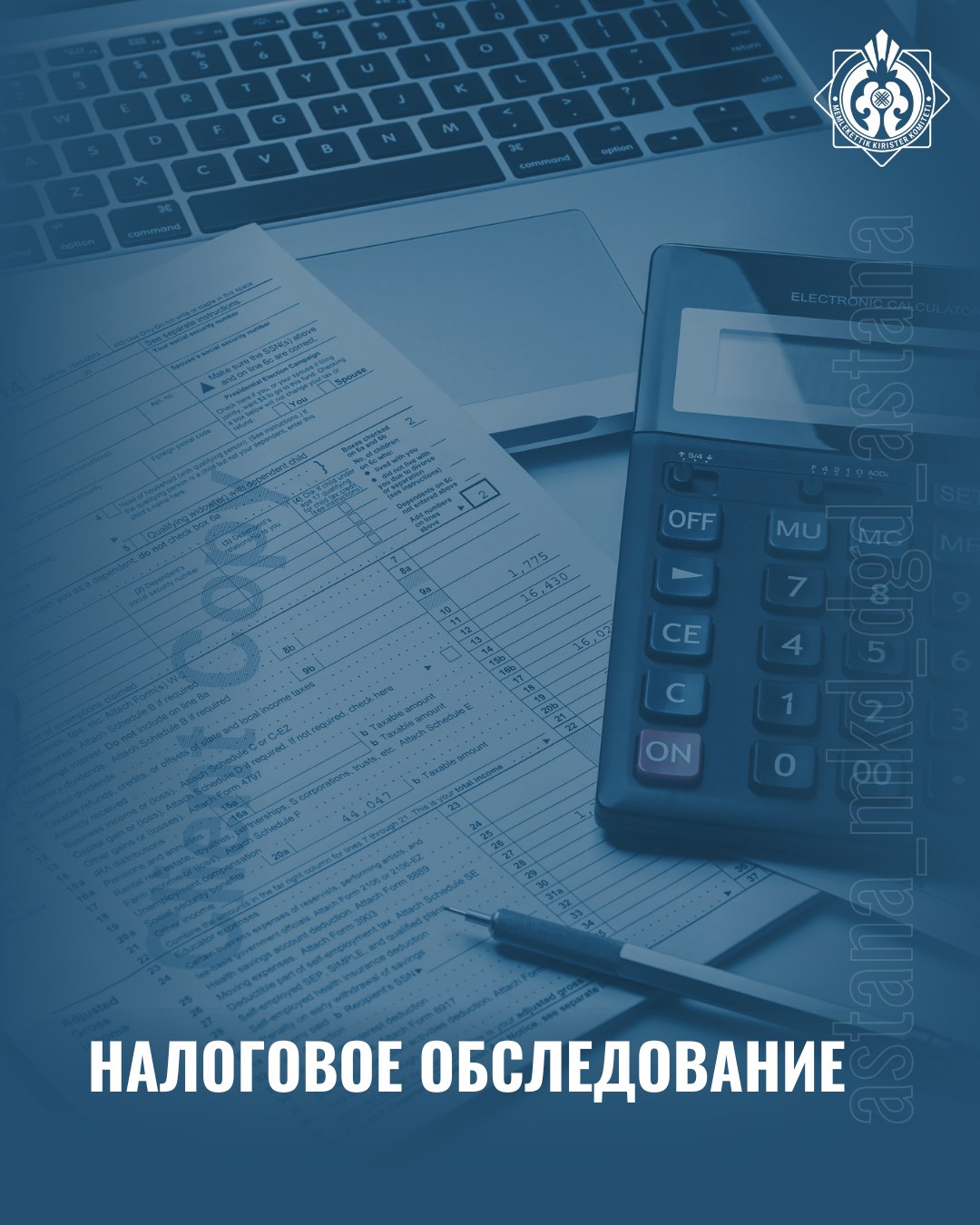 Налоговое обследование