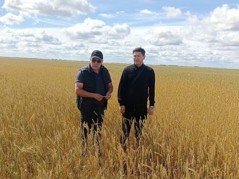 2025 жылғы 31 тамызда жедел штабтың бастамасымен егіс алқаптарының жағдайын мониторингтеу үшін жұмыс сапары ұйымдастырылды.