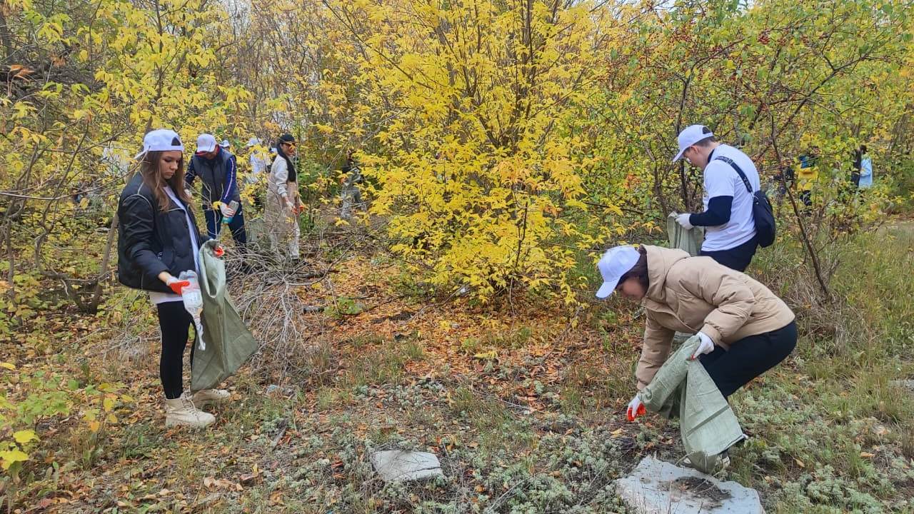 Қарағанды облысында Дүниежүзілік тазалық күні: 17 мыңнан астам тұрғын экоакцияға қатысты