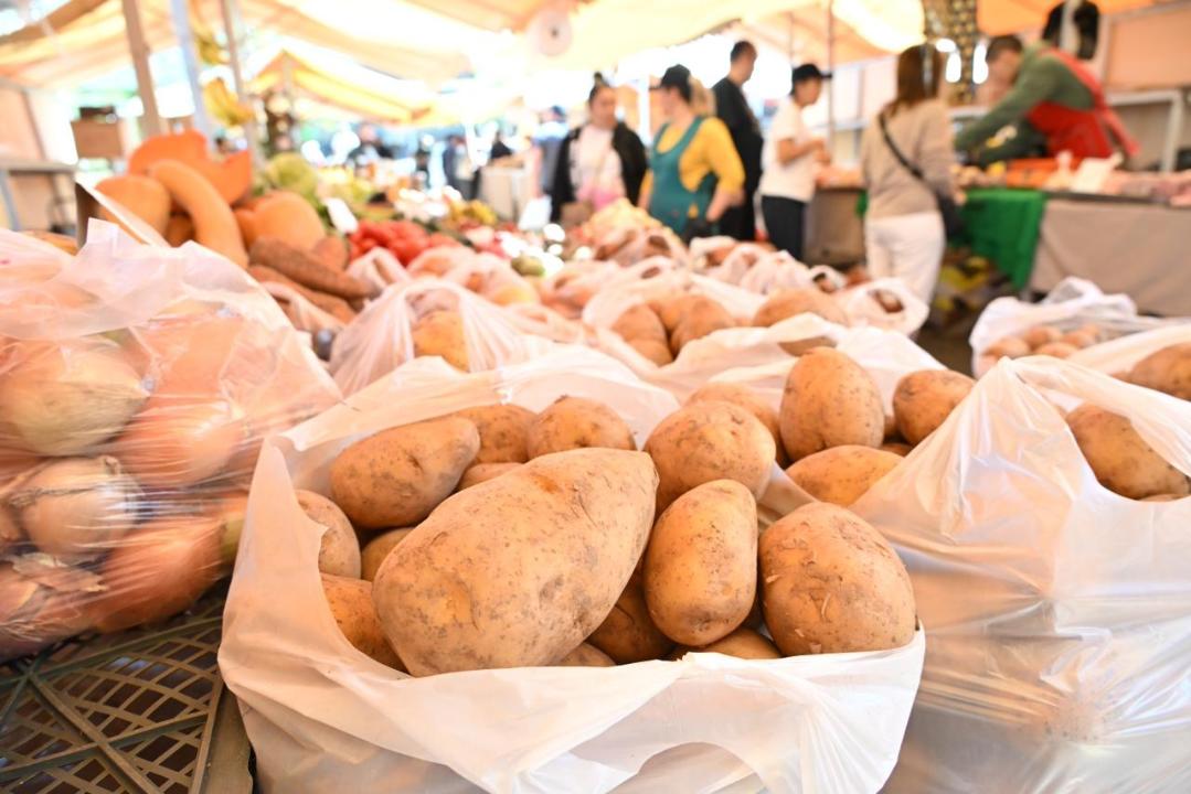 «2013 жылдан бері осы жәрмеңкеге келемін»: алматылықтар қала күнін дәстүрлі түрде демалыс күні жәрмеңкелерде атап өтті